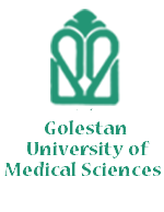 School of New Technologies